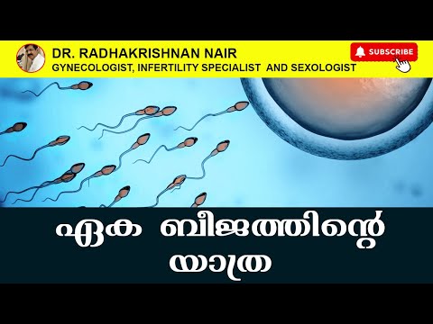 Journey of Single Sperm | Dr.Radhakrishnan Nair | Gynecologist | Sexologist | Kochi | Kerala | India